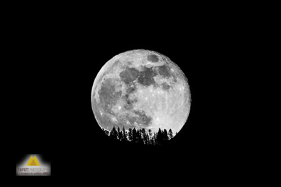 Moonrise V2 BW