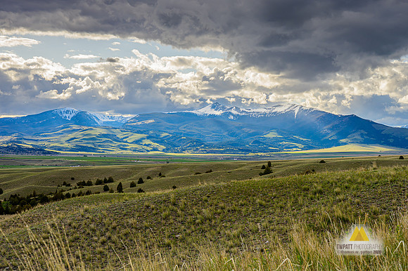 Afternoon Splendor