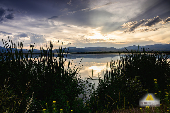 Glassy Waters