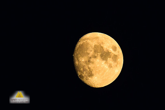 Honey Moon