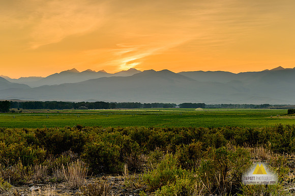 Pioneer's Sky