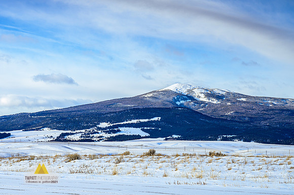 A White Christmas