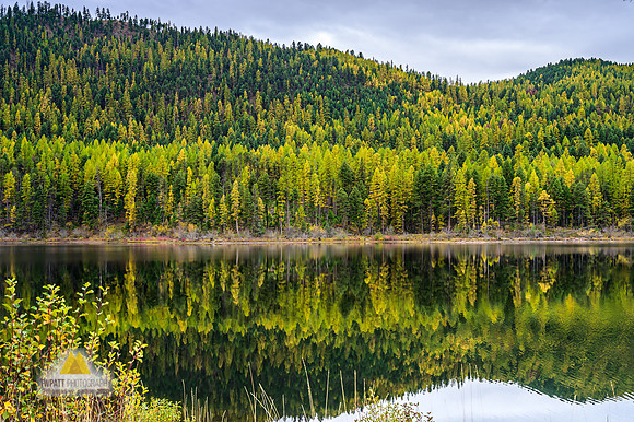 Reflection
