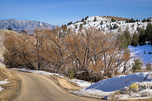 Aching for Spring