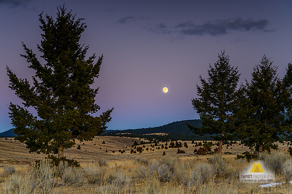 Bright Evening