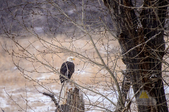 Sittin' by the Side of the Road...