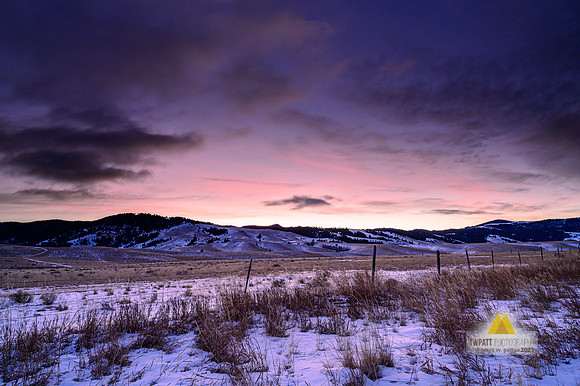First Light+