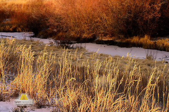 The Verge--roadside textures