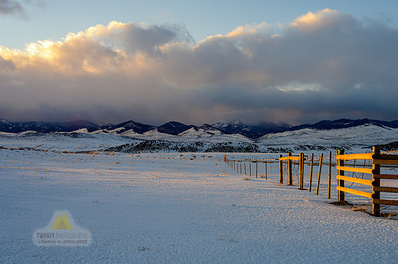 Fence Into Winter