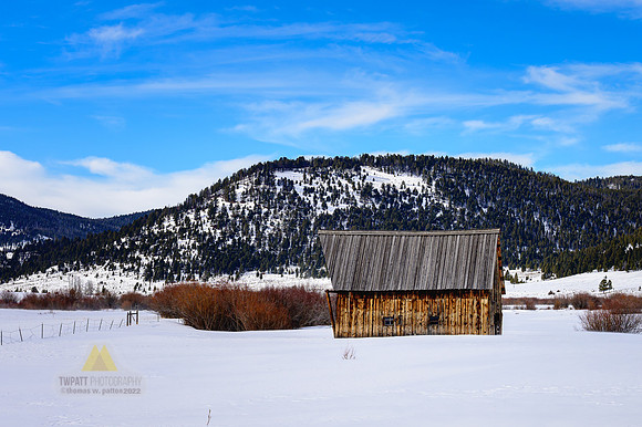Last Barn Standing