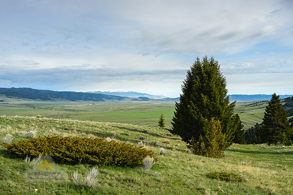Wide Open Spaces