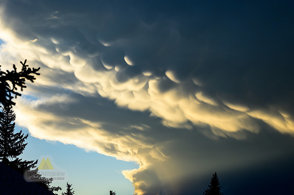 Summer Clouds