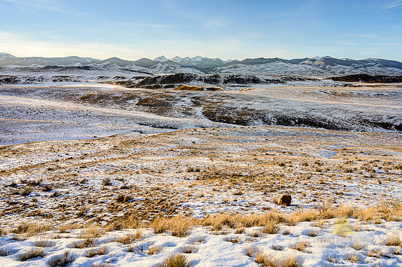 Open Country