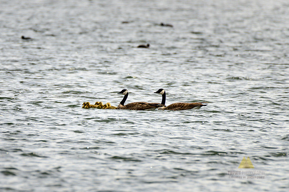 Family Outing