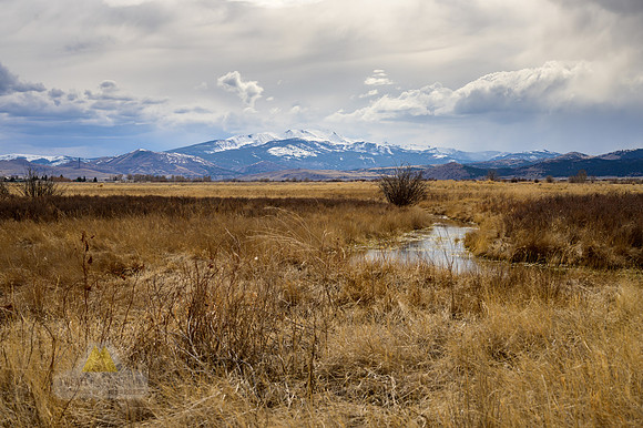 A Long View