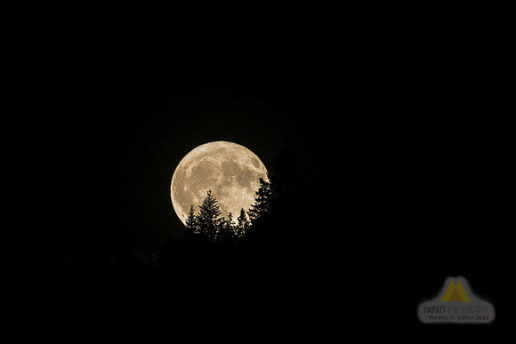 Moonshadow
