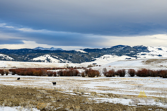 Open Winter