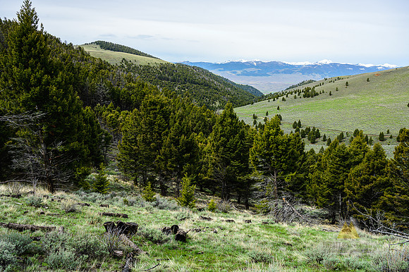 Far View