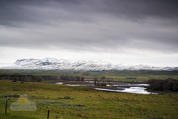 Snow Line