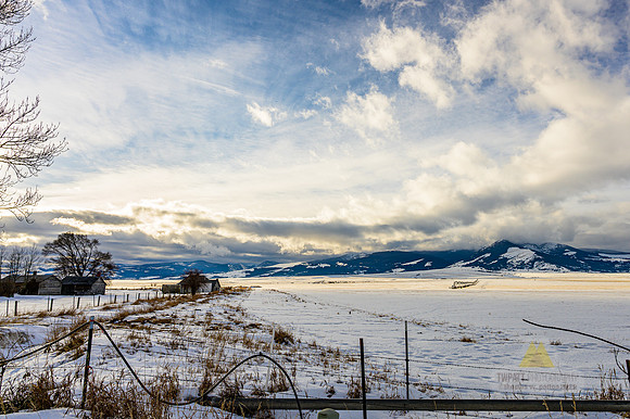 Valley Life